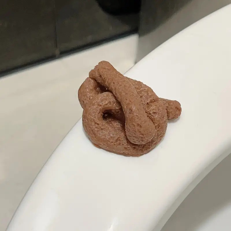 Realistic Floating Fake Poop P - Fake Poop Gag Gift ulasan dan harga